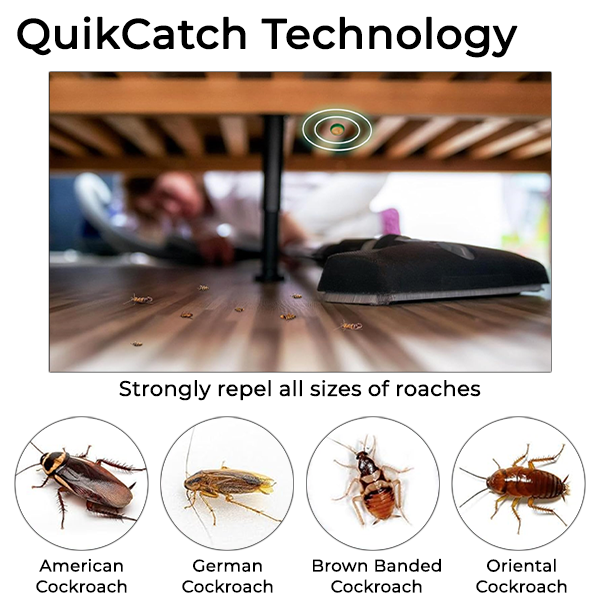 QuikCatch Cockroach Killer Gel || Buy 1 Get 1 Free